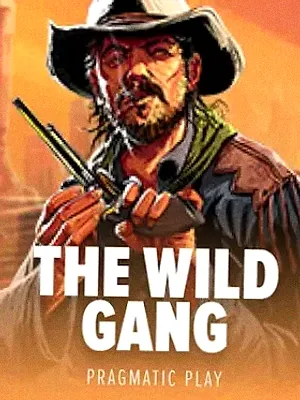 The Wild Gang at Sydspin